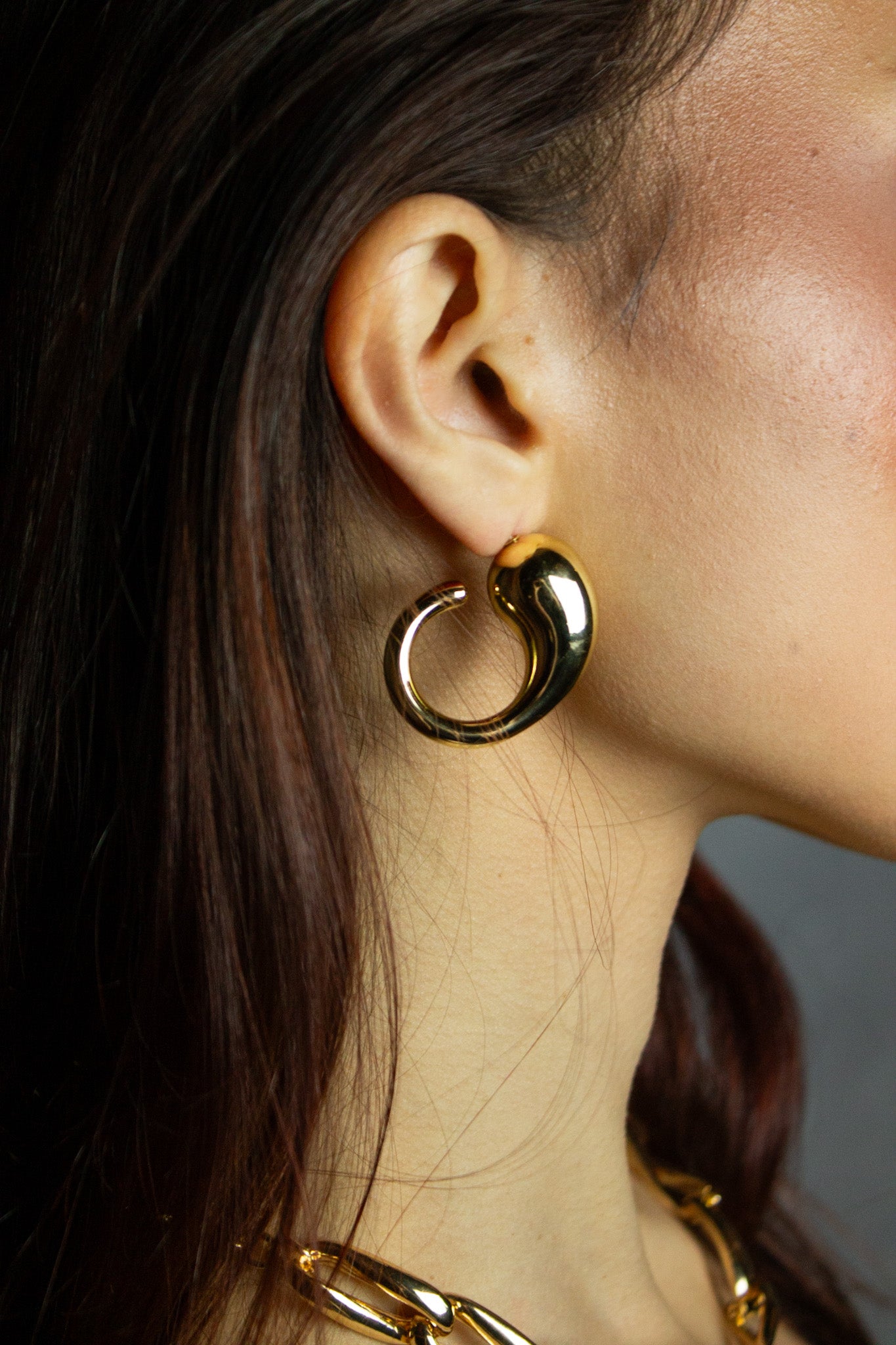Brinco Argola Camaleão - Dourado